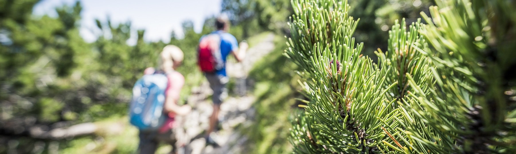 Wanderer Herzogstand, © Tourist Information Kochel a. See, Fotograf: Th. Kujat