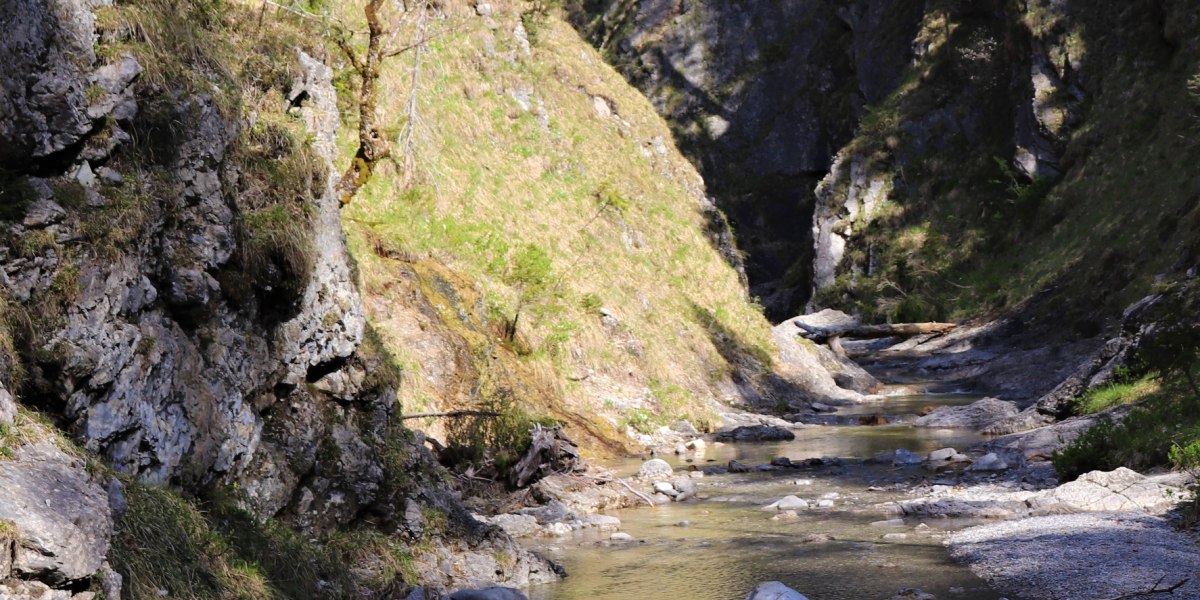 Dainingsbach-Schlucht am Walchensee, © Tourist Information Kochel a. See